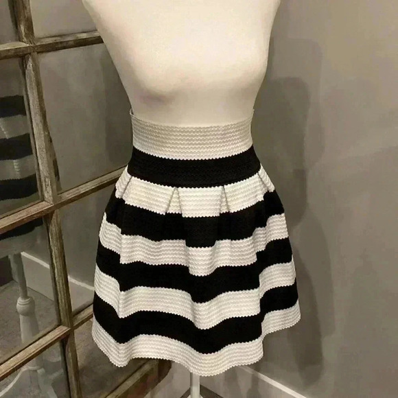 Neslay Designer Dresses & Skirts - Neslay Designer Black & White Striped Skirt